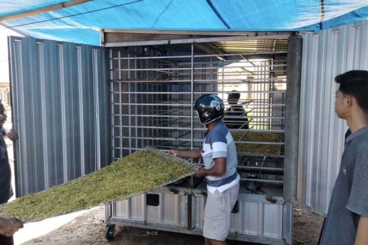 Inovasi mahasiswa Unej "DryToba" percepat pengeringan tembakau