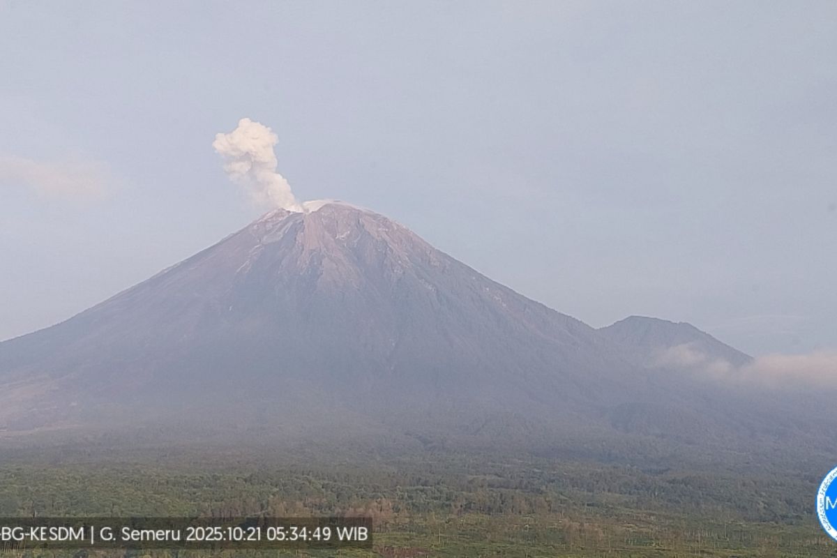 Gunung Semeru enam kali erupsi dengan tinggi letusan hingga 700 meter