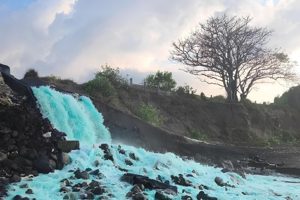 DLHK NTB panggil perusahaan tambak udang buang limbah ke laut