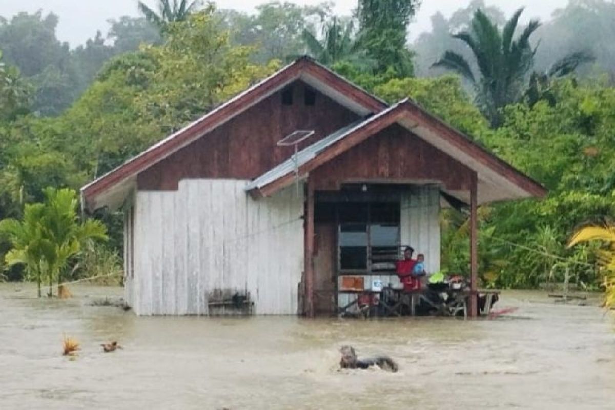 Puluhan keluarga di Sarmi terdampak banjir bandang