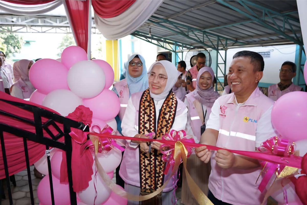 PLN Lampung dorong pengarusutamaan gender lewat workshop Srikandi