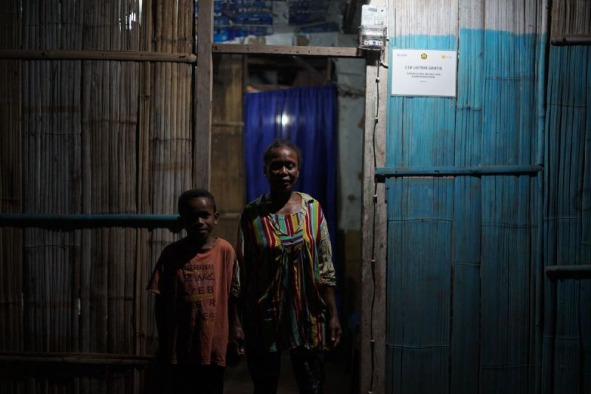 Pemerintah perluas akses listrik, pemanfaatan energi semakin merata