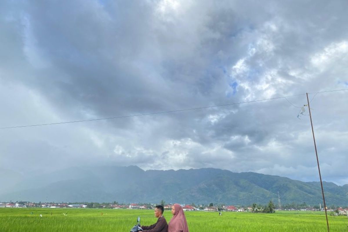 Mengenal Sekungkung: desa di kaki Gunung Kerinci yang jadi Diengnya Sumatra
