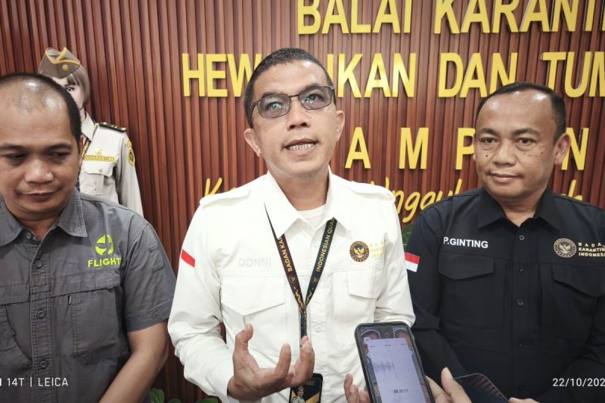 Cengkih terpapar radioaktif tak diekspor  dari Lampung