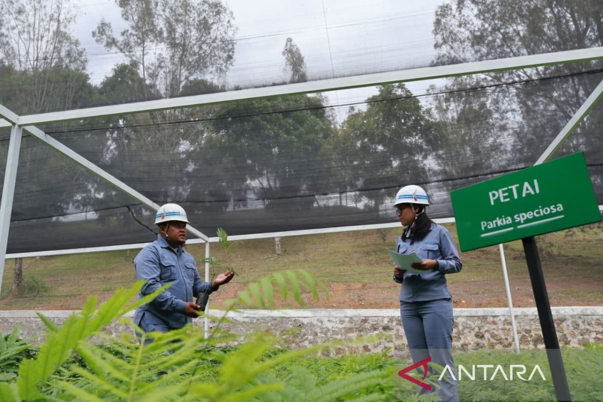 Inalum targetkan pemulihan lahan kritis Danau Toba seluas 500 ha