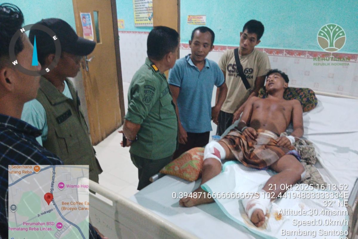 Pria di Inhu selamat dari kepungan serangan harimau