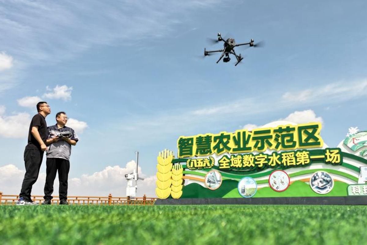 Lompatan pertanian China dari ekspor menuju integrasi sistemis