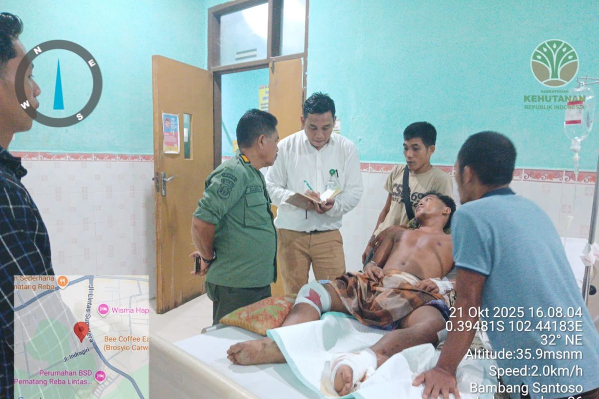 Warga Riau diserang dua harimau