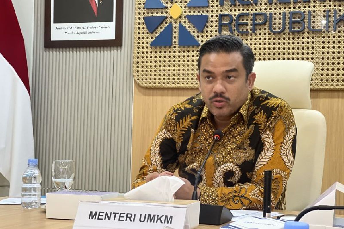 Menteri Maman siapkan aturan untuk lindungi UMKM di pasar digital