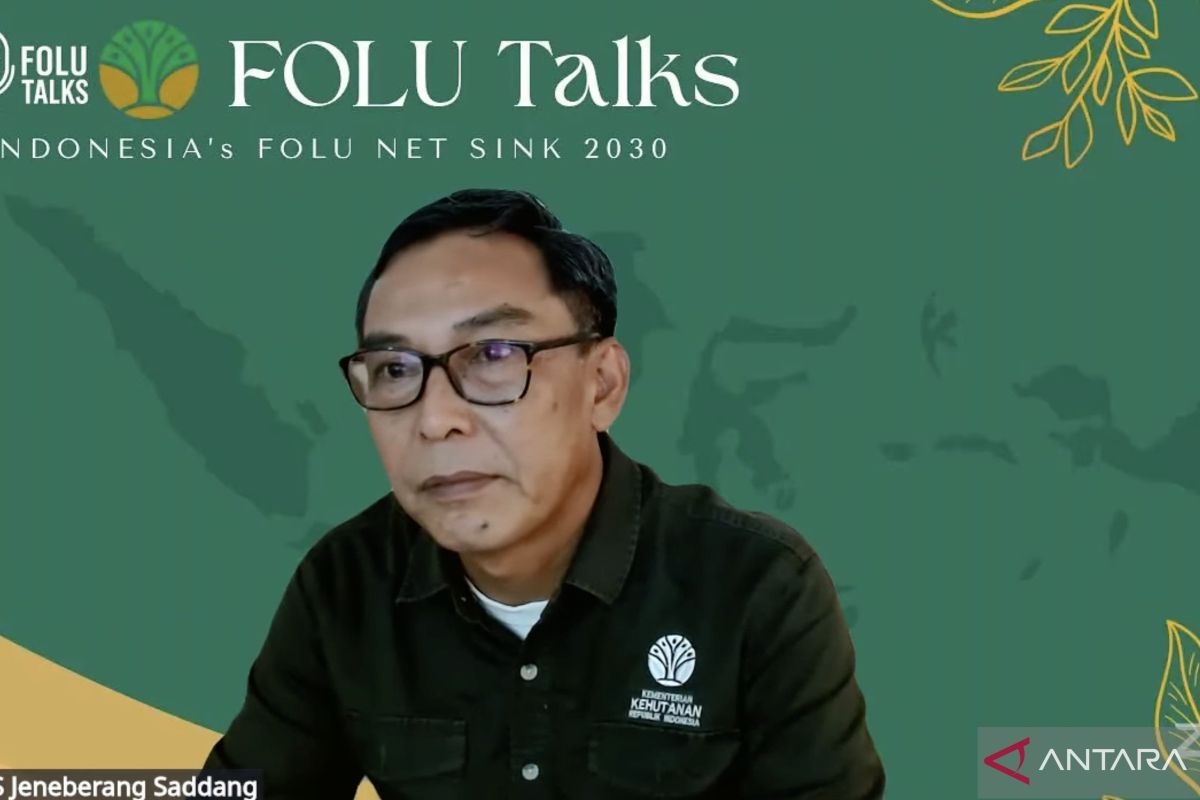 Kemenhut: Lahan kritis jadi faktor potensi banjir di DAS Rongkong