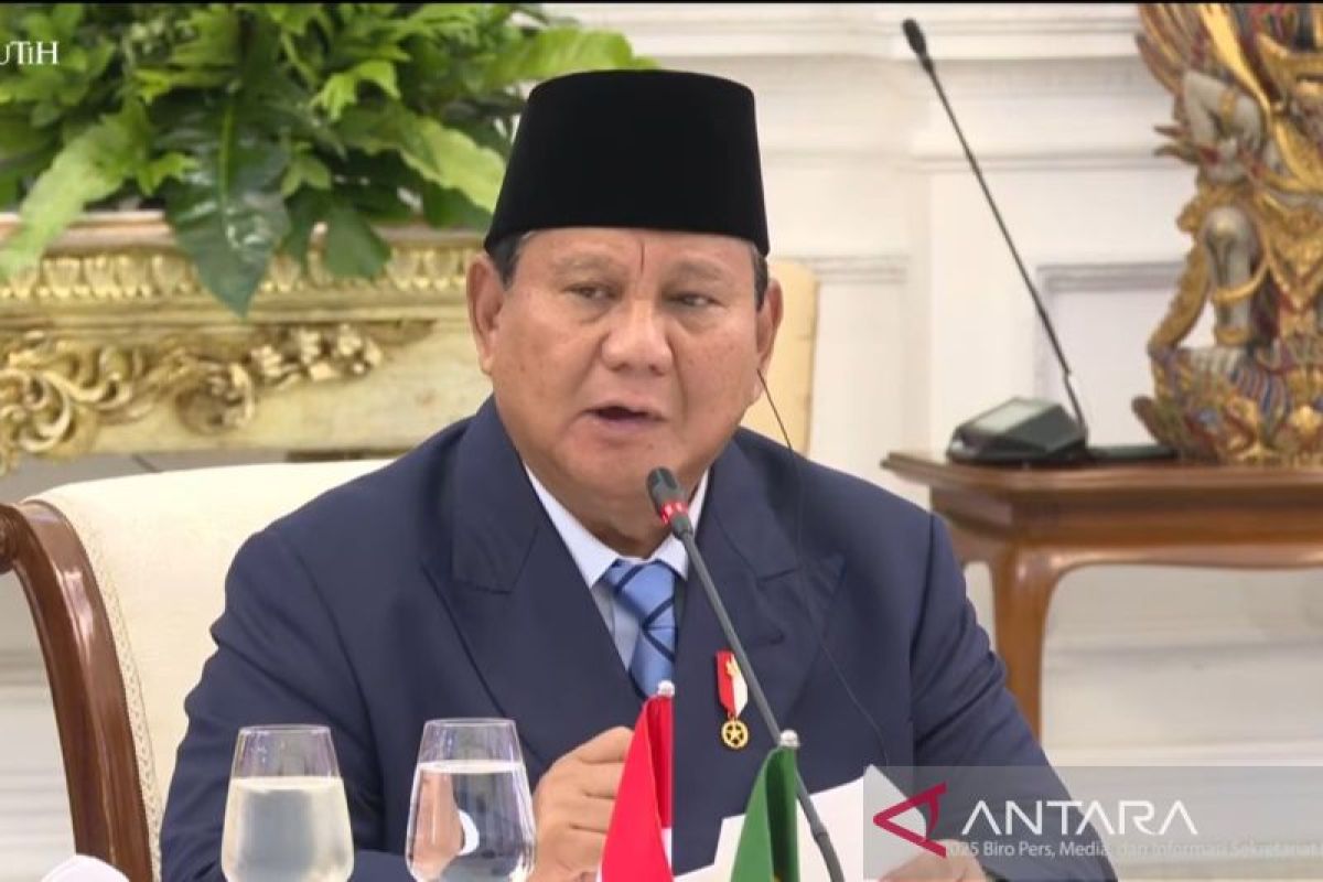 Indonesia pushes for economic partnership with Mercosur