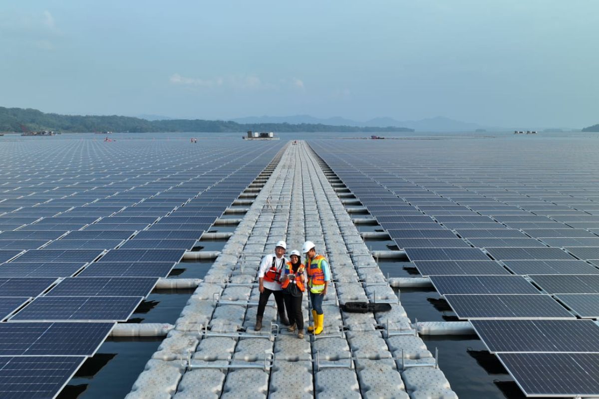 Pemerintah perkuat EBT guna wujudkan kemandirian energi nasional