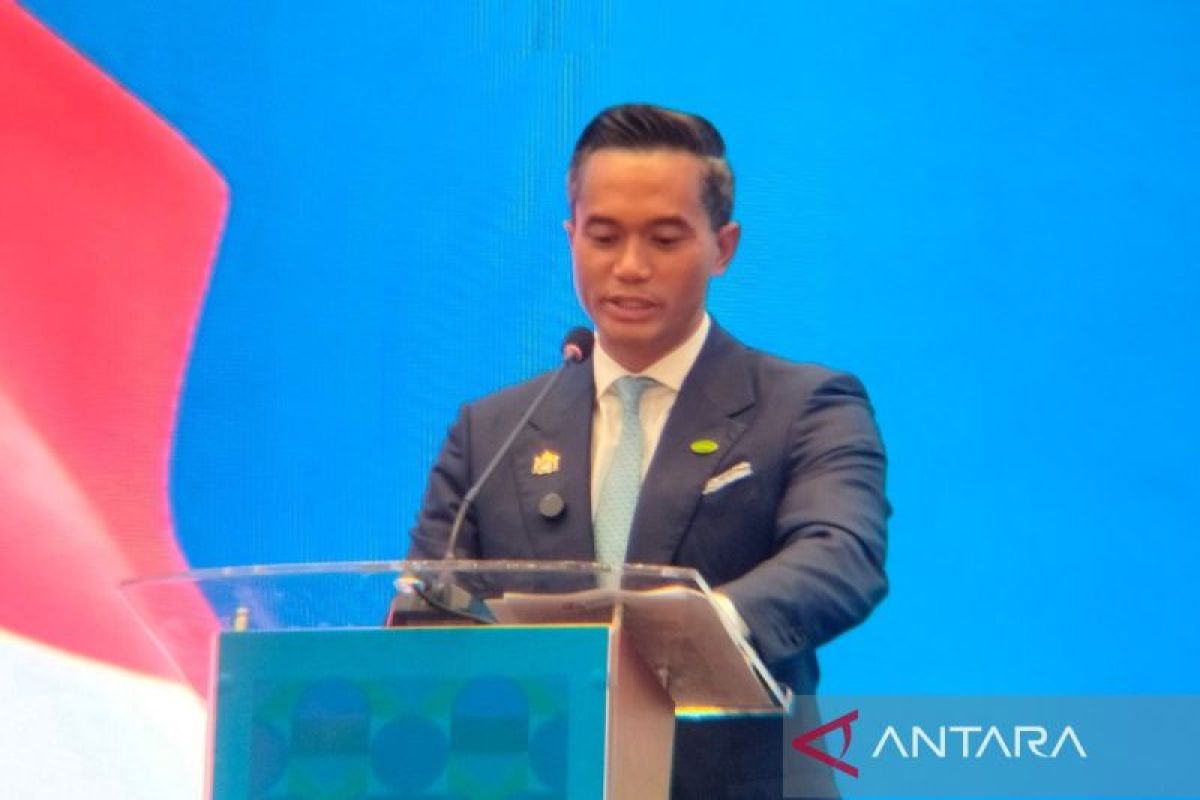 Kadin: Kerja sama RI-Brazil penting bagi perdagangan dan investasi