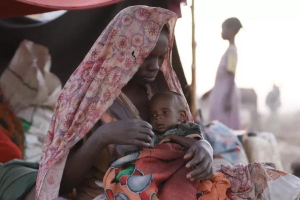 Sekitar 350 keluarga di Sudan berjalan kaki 50 km untuk mengungsi