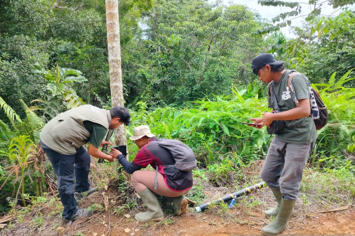 BKSDA Sumbar tangani empat konflik satwa di Agam selama Oktober