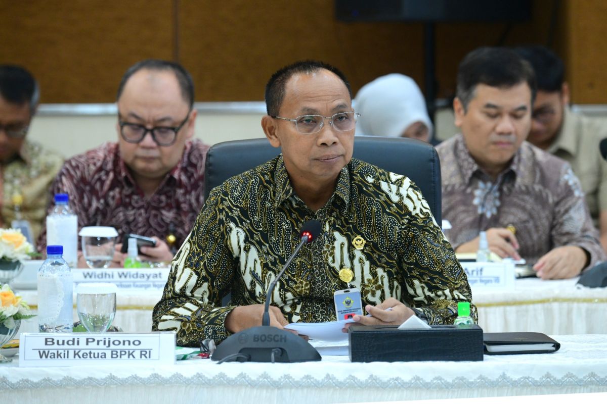 BPK lakukan pemeriksaan tematik terhadap program ketahanan pangan
