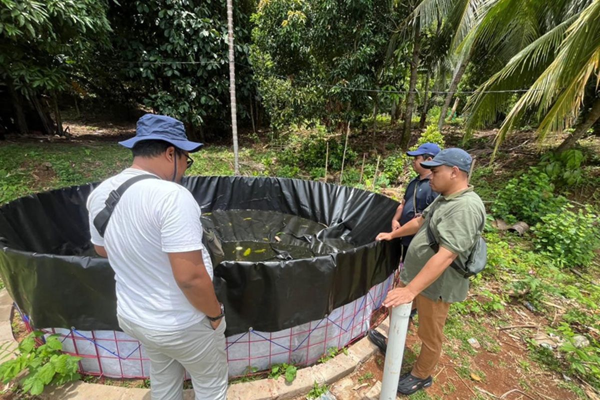 Budidaya ikan air tawar: Alternatif nelayan Pelapis menyiasati musim paceklik
