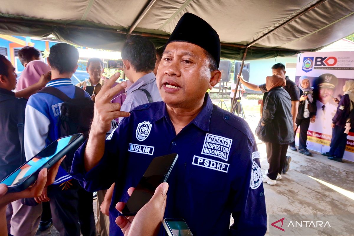 NTB susun DED hilirisasi udang di Lombok Timur