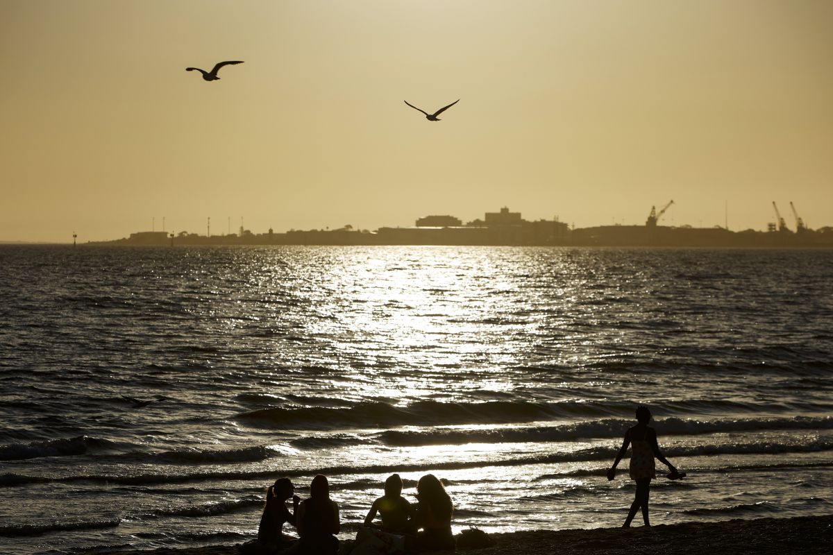 Tanda-Tanda Flu Burung Mematikan Terdeteksi oleh Tim Ilmuwan Australia