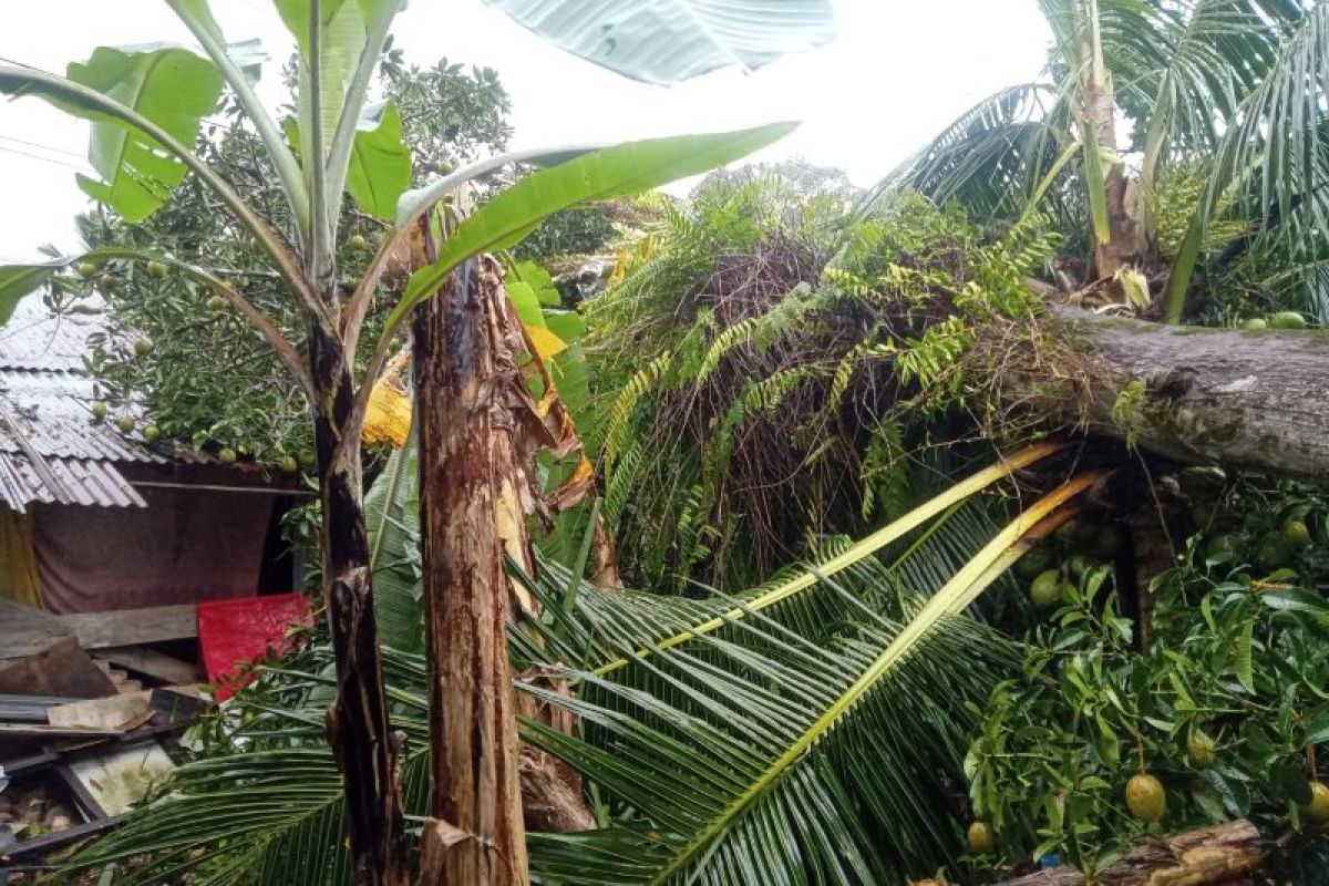 Sejumlah rumah di Pasaman Barat rusak akibat angin kencang