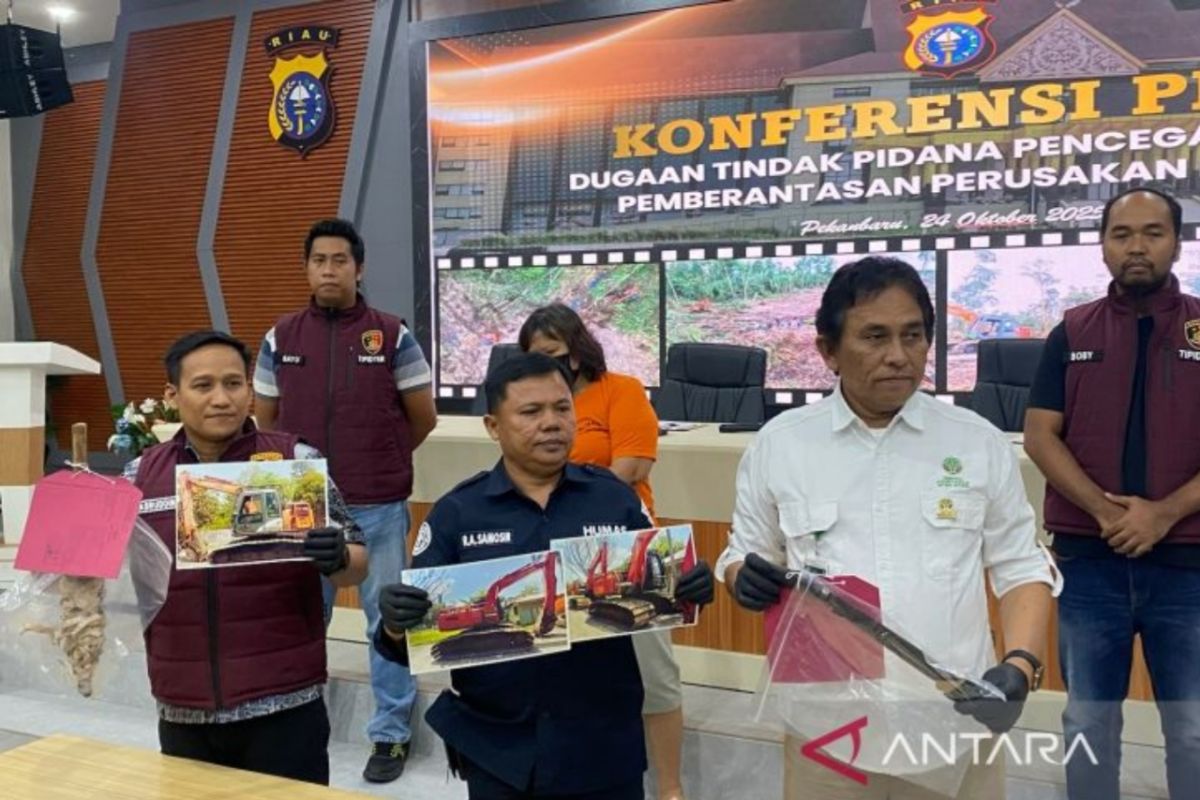 Polda Riau tangani kasus buka lahan 13 ha di Suaka Margasatwa GSK