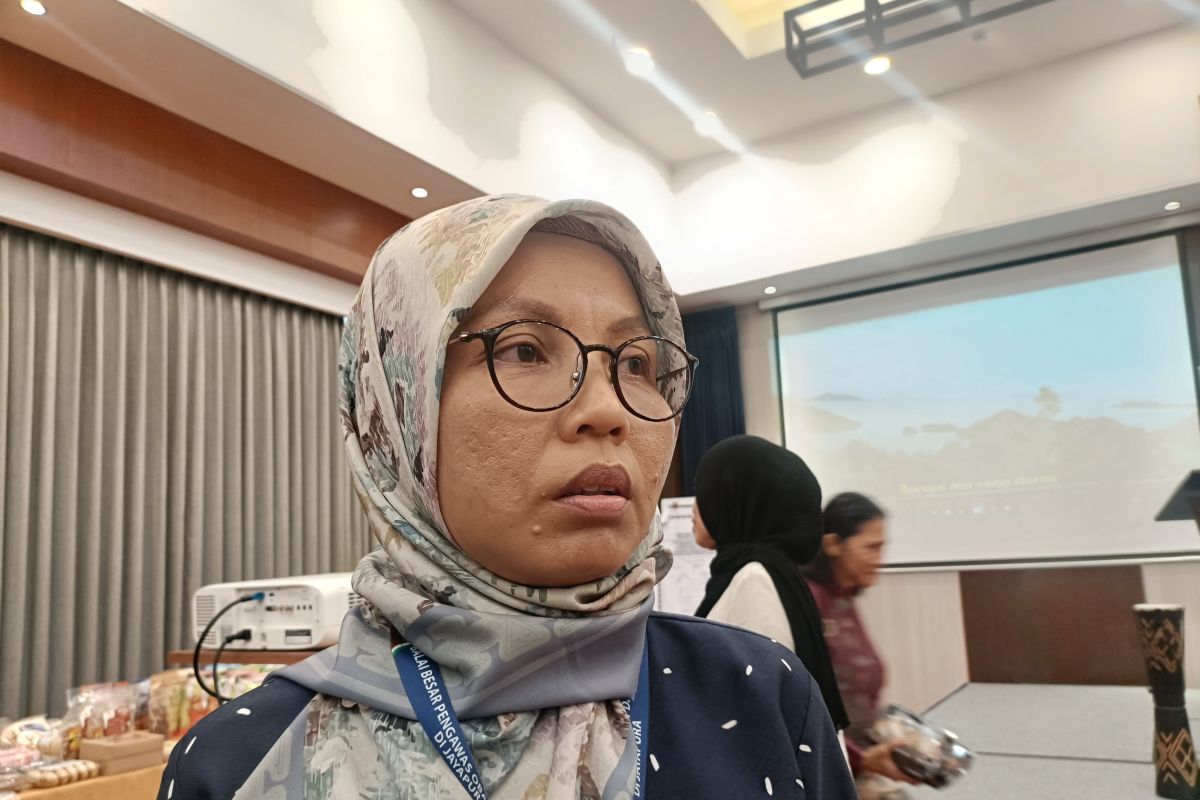 Balai BPOM Jayapura mendampingi UMKM melalui program Sagu Emas Papua