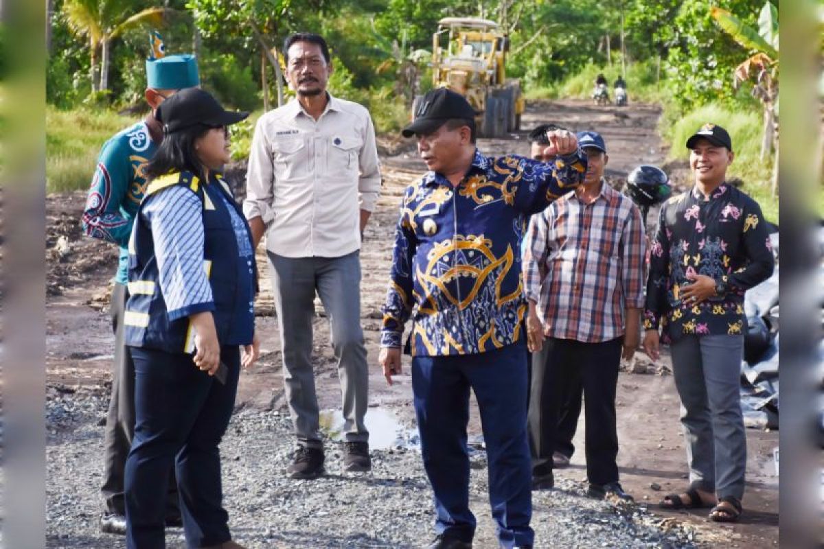 Bupati Kapuas tinjau pengerjaan jalan antar kecamatan