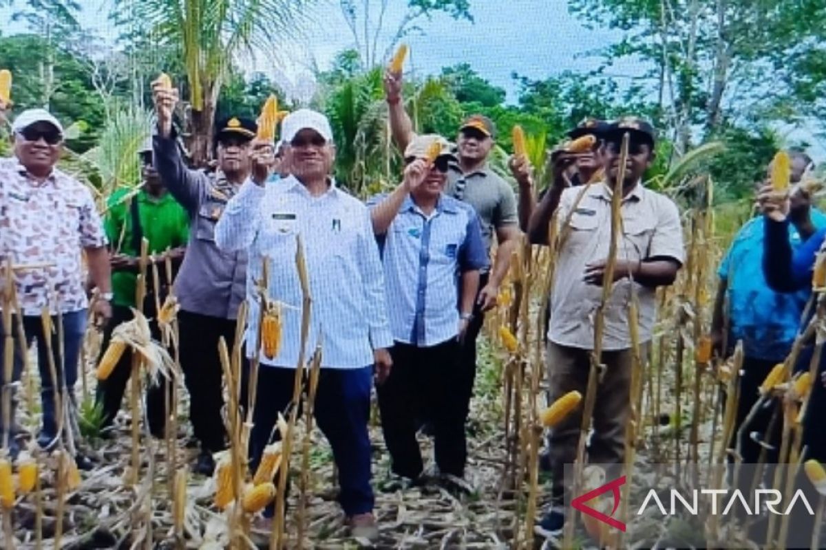 Pemkab Biak Numfor apresiasi program ketahanan pangan jagung di Kampung Yopdi