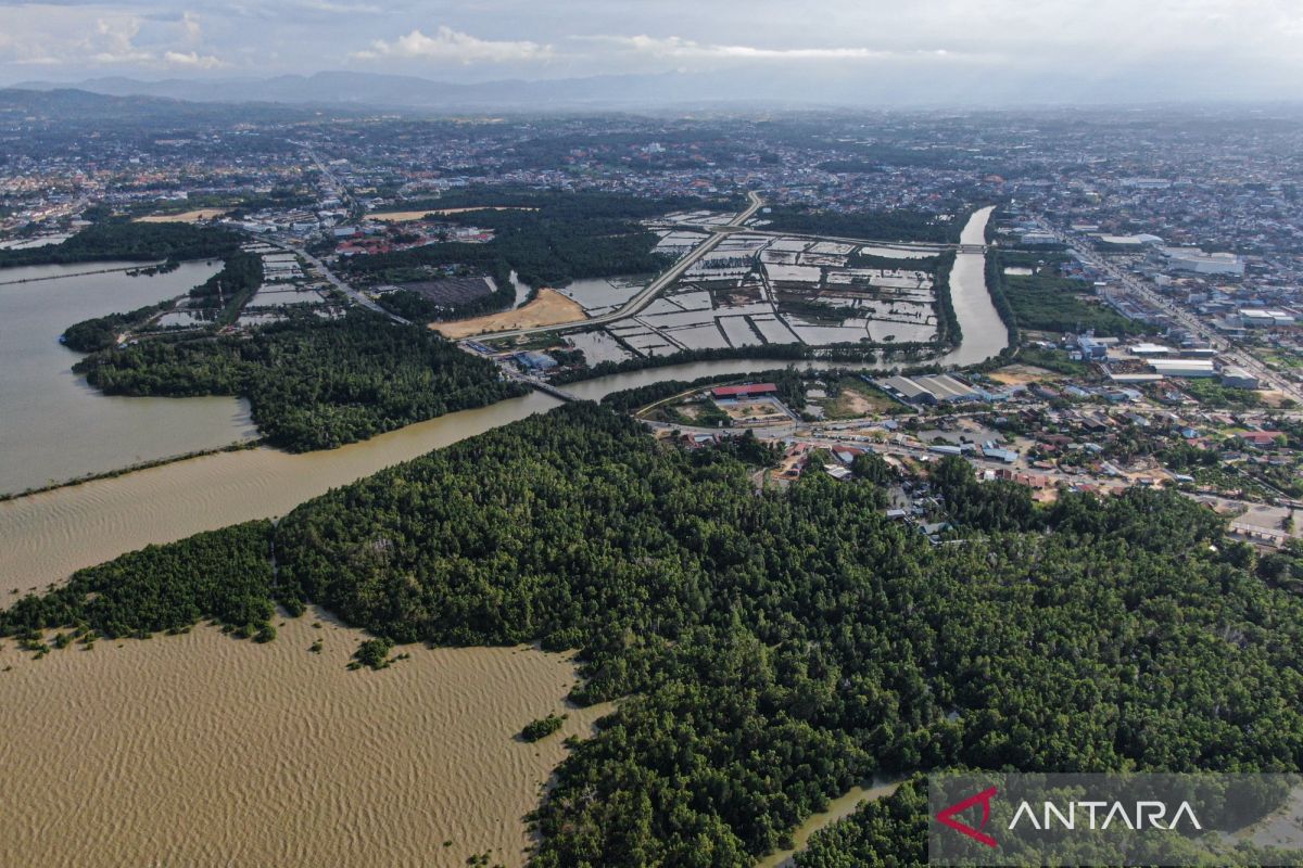 Kredit karbon baru Pertamina NRE terjual 90 persen