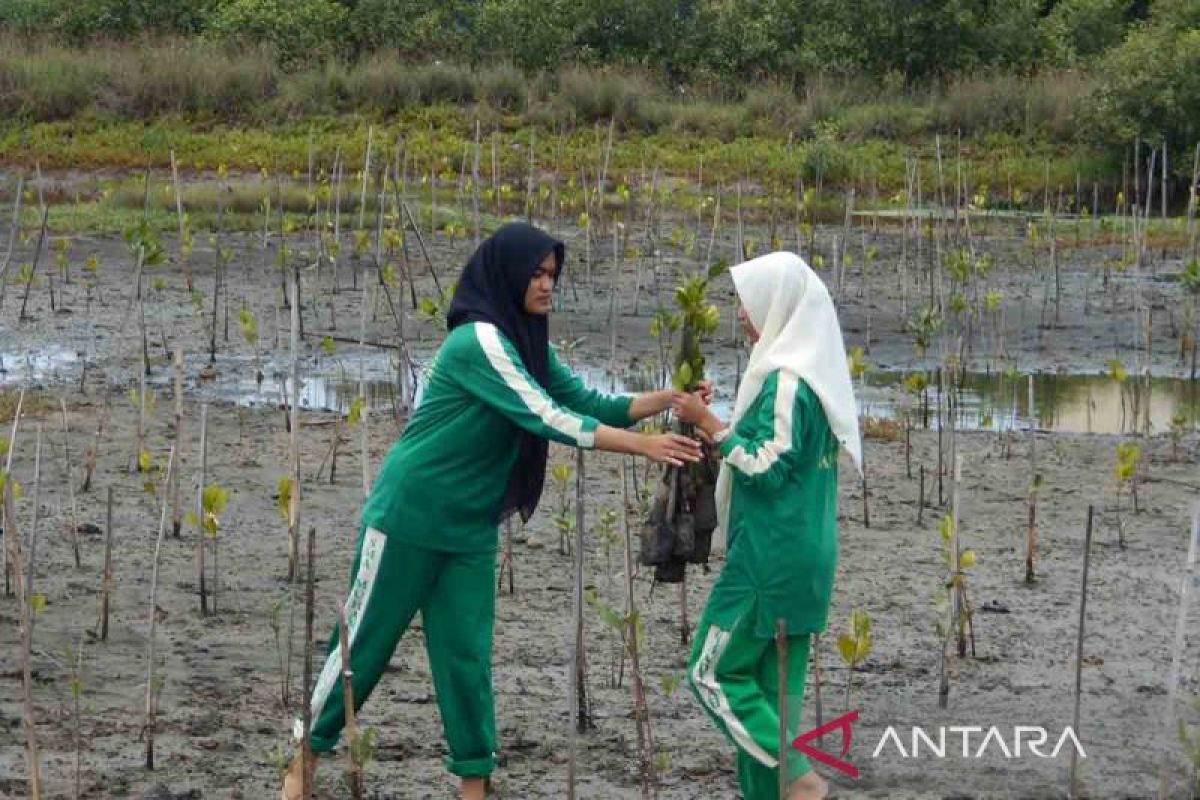 Pelajar di Aceh tanam 1.000 mangrove lahirkan generasi hijau