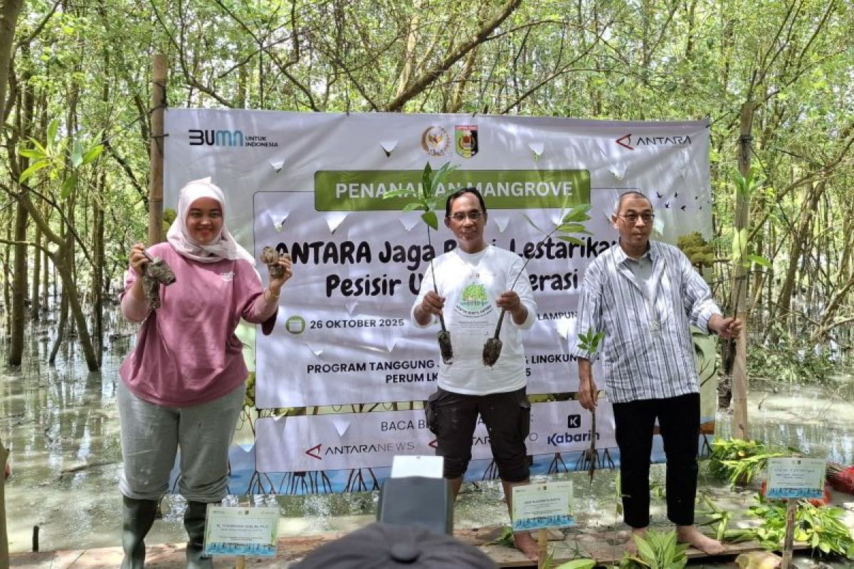 ANTARA gelar TJSL rehabilitasi mangrove di Lampung Timur