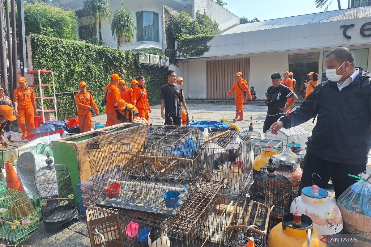Ini alasan Pemkot Jaksel tertibkan pedagang Pasar Barito