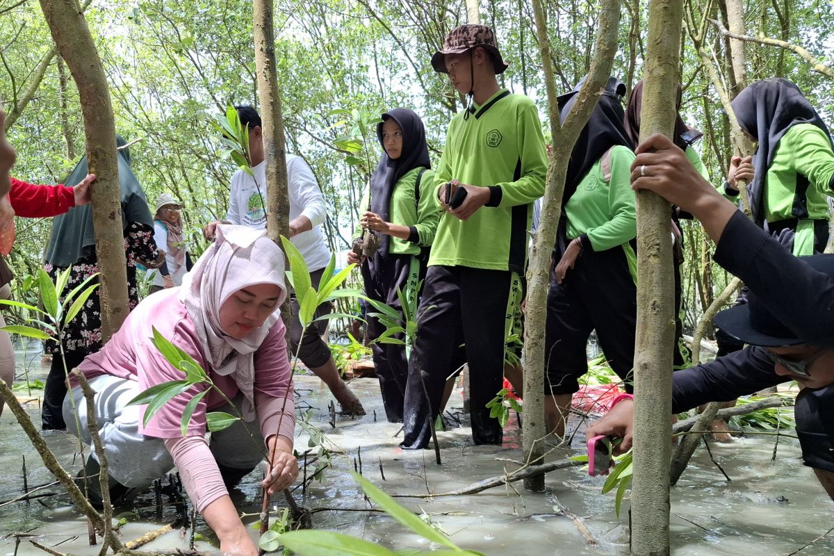 Komisi VII DPR: Mangrove potensial dikembangkan jadi ekowisata