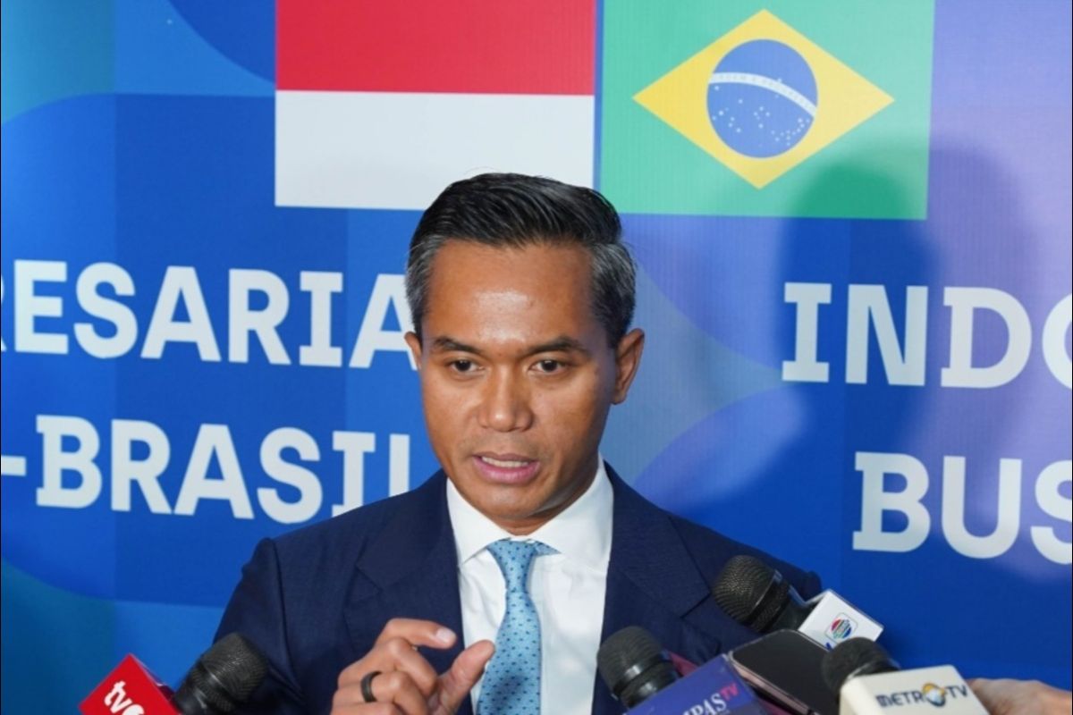 Kadin optimistis perdagangan RI-Brasil naik hingga tiga kali lipat