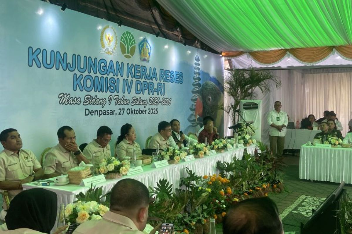 Menhut minta maaf ke Papua soal kasus pembakaran mahkota Cenderawasih