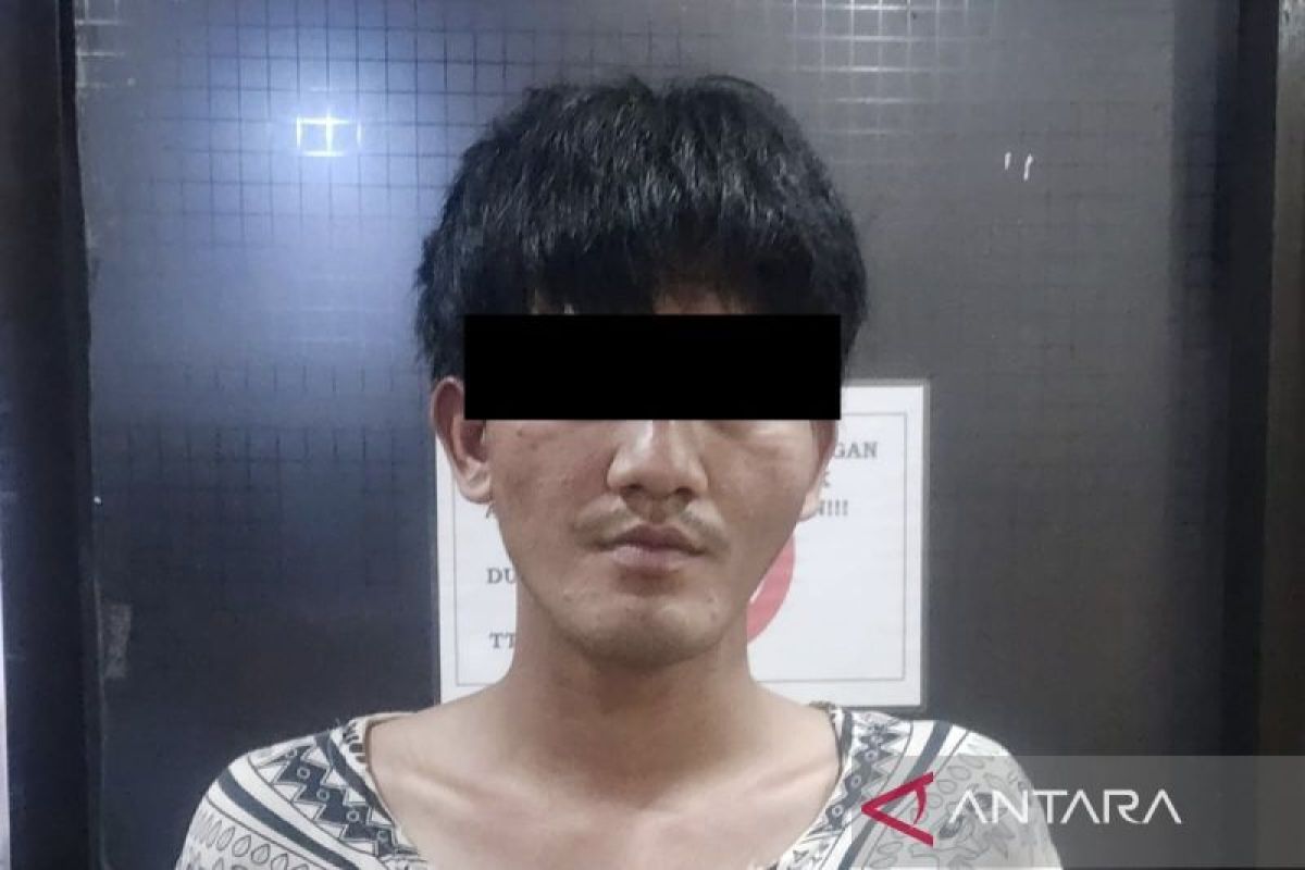 Polda Metro tangkap pengedar ganja seberat 738,5 gram di Cengkareng