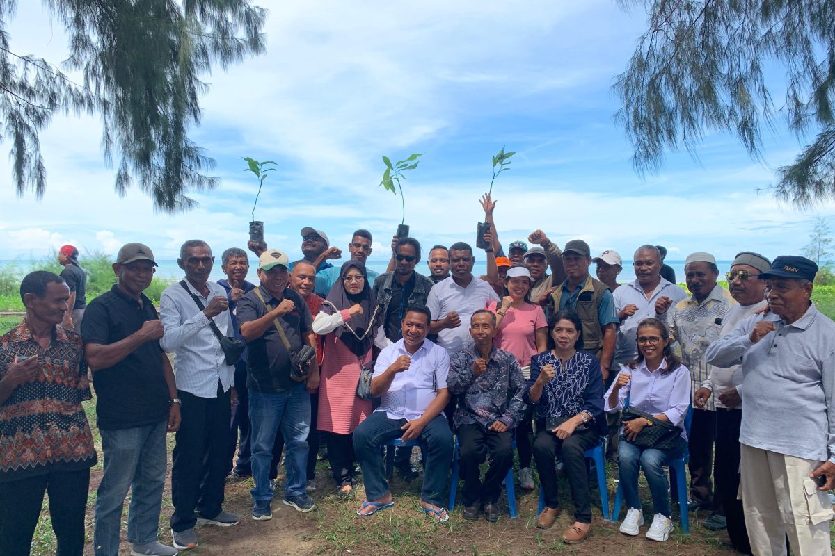 Pemprov Maluku kembangkan 5.000 hektare kakao jadi komoditas unggulan, begini kata Wagub