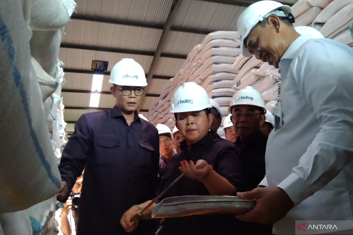 DPR RI minta beras di gudang Bulog maksimal enam bulan