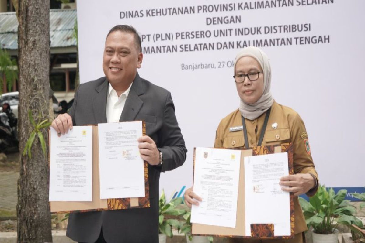 PLN Kalselteng dan Dishut Kalsel sepakati pembangunan jaringan listrik desa