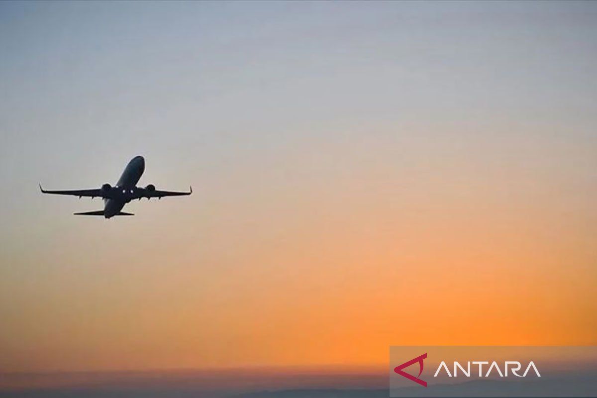 Penutupan Pemerintah AS sebabkan 3.658 penerbangan terganggu