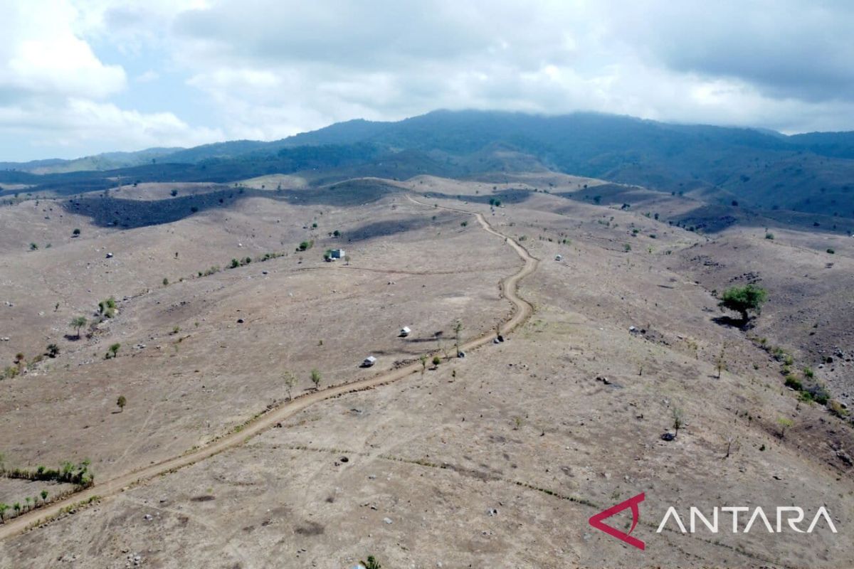 Pelajaran peran ekologis dari ekspansi jagung di Pulau Sumbawa