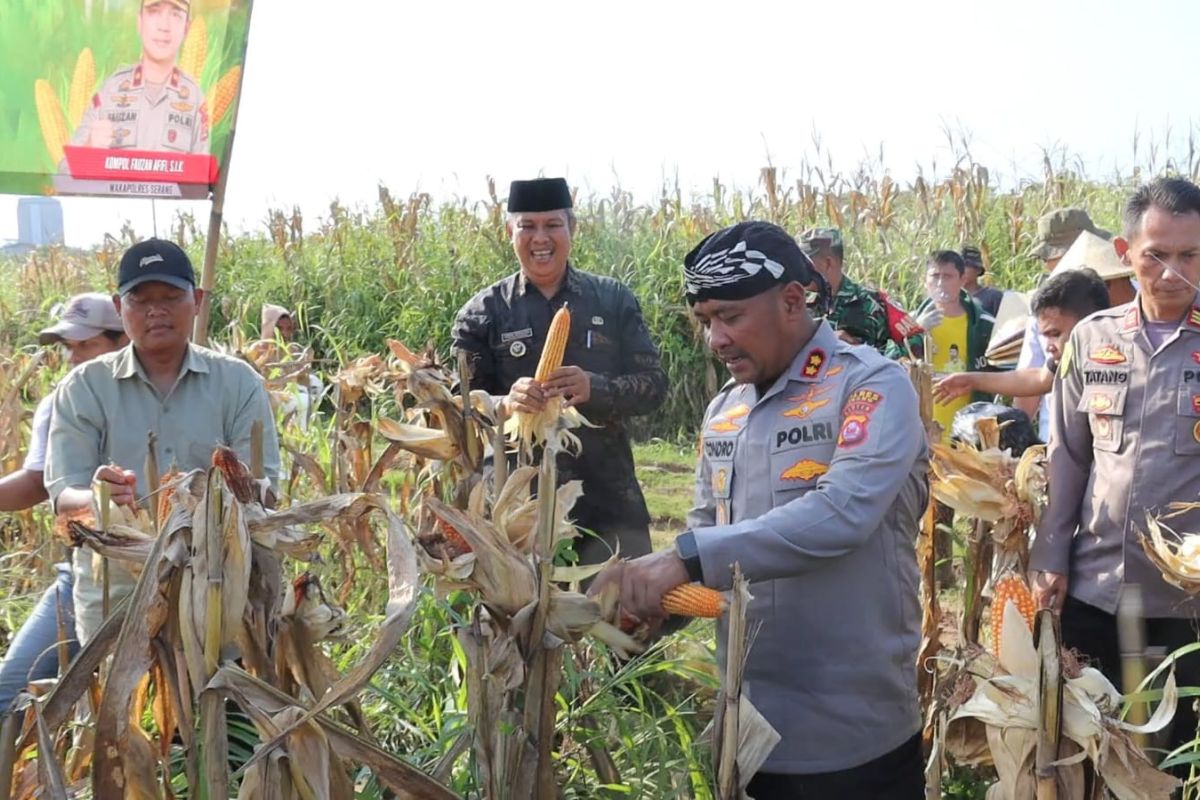Serapan jagung Polres Serang ke Bulog tertinggi di Banten