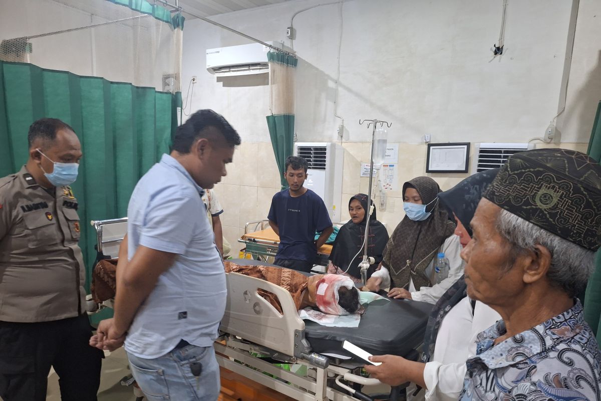 BKSDA Jambi telusuri beruang, setelah serang petani di Muaro Jambi