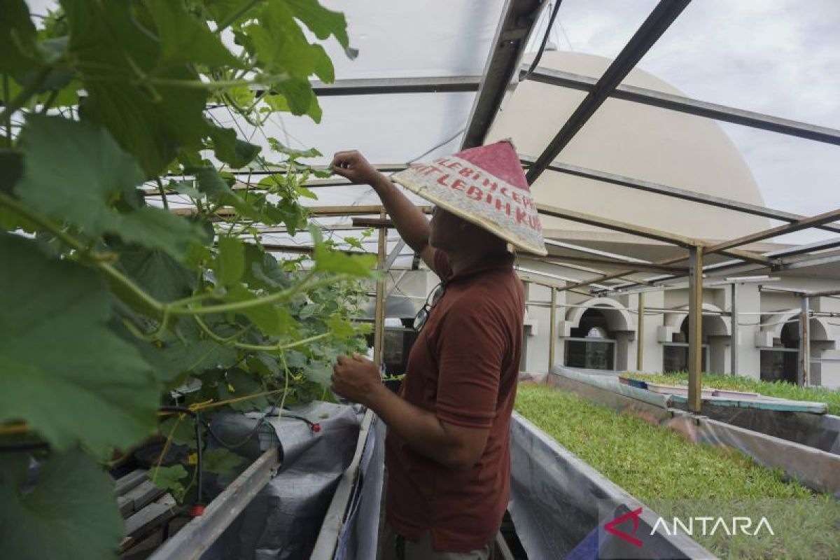 Kemenag tegaskan tak ada larangan beristirahat di masjid selama tetap jaga kesucian