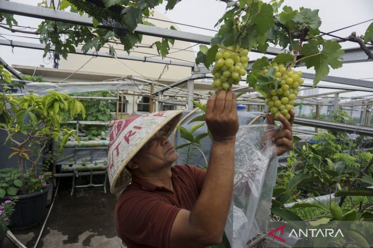 Kemenag: Masjid boleh jadi tempat istirahat dengan tetap jaga kesucian