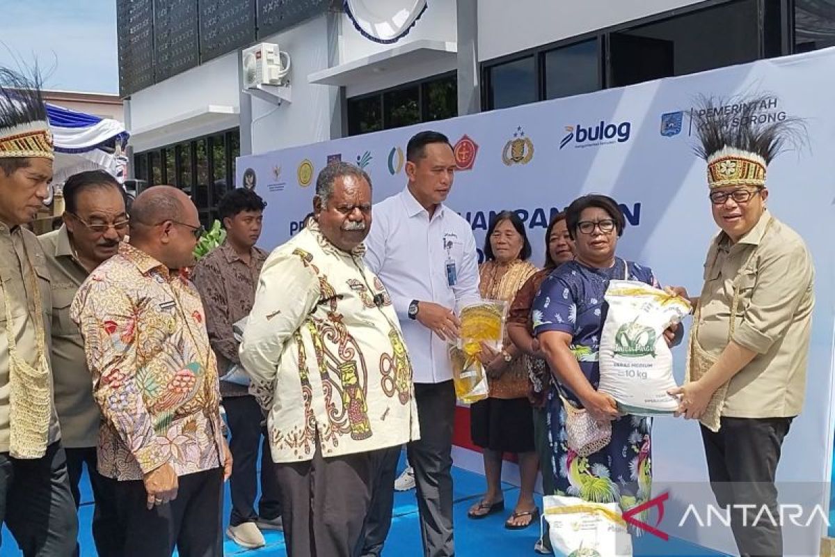 Bulog dan DPR RI salurkan 878 ton beras bantuan pangan di PBD
