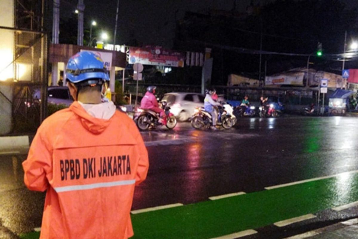 BPBD Jaksel tangani pohon tumbang akibat hujan
