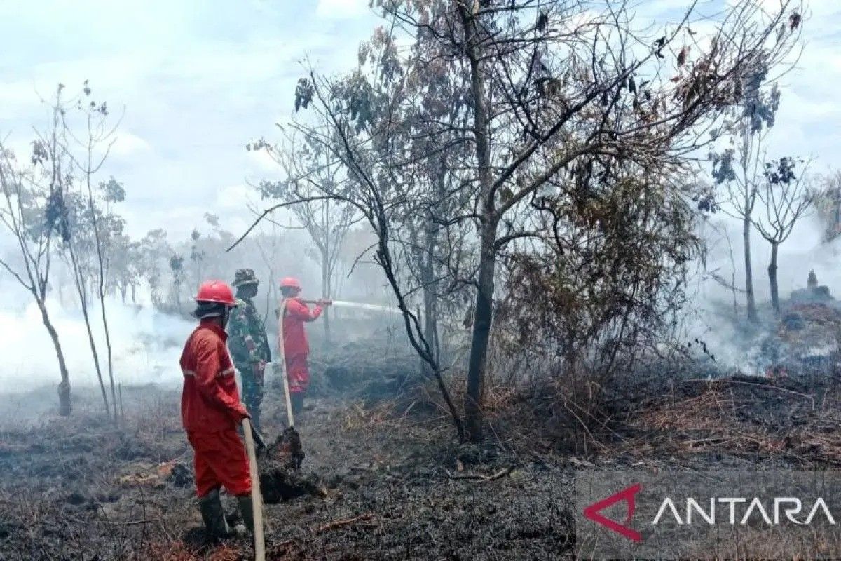 BPBD Sumsel catat 783 kejadian karhutla hingga akhir  Oktober 2025