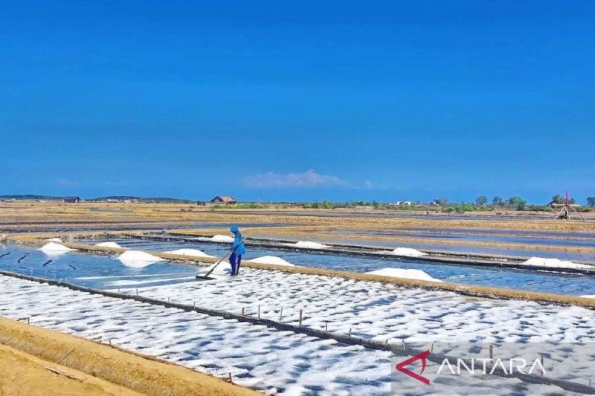 Pemprov Jatim bantu petambak garam Bangkalan manfaatkan teknologi geomembran