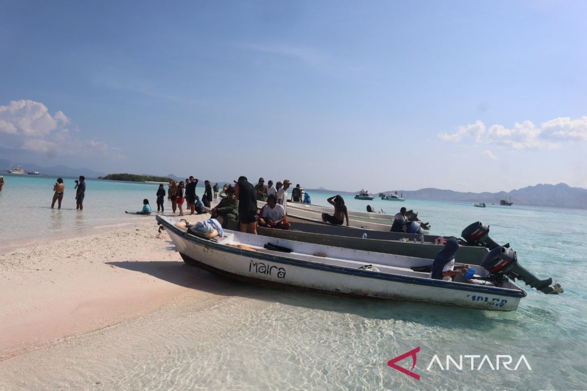 Upaya Balai TN Komodo selamatkan kerugian PNBP